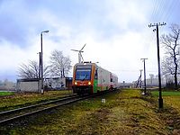 01022013_Grzybno_SA106-103.jpg