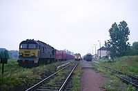 Nazwa pliku=20000705_Lubicz_ST44-709_SU45-166_51020_ipoc15023.jpg
Wielkość pliku=297KiB
Rozmiar=1024x677
Data dodania= 08, Marzec 2013 20000705_Lubicz_ST44-709_SU45-166_51020_ipoc15023.jpg