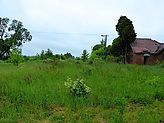 Nazwa pliku=20130525_Panigrodz_widokwstrGolanczy2.jpg
Wielkość pliku=390KiB
Rozmiar=1024x768
Data dodania= 30, Maj 2013 20130525_Panigrodz_widokwstrGolanczy2.jpg